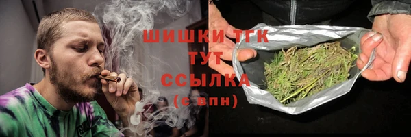 ПСИЛОЦИБИНОВЫЕ ГРИБЫ Бородино