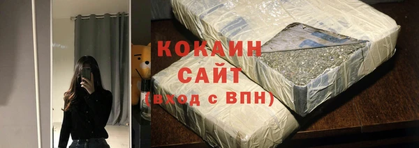 ПСИЛОЦИБИНОВЫЕ ГРИБЫ Бородино