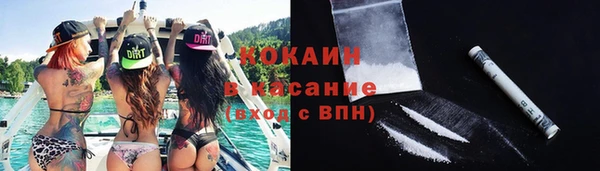 ПСИЛОЦИБИНОВЫЕ ГРИБЫ Бородино