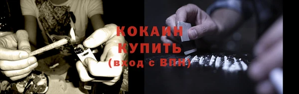 ПСИЛОЦИБИНОВЫЕ ГРИБЫ Бородино