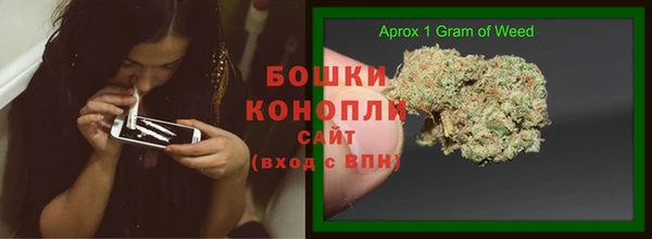 ПСИЛОЦИБИНОВЫЕ ГРИБЫ Бородино