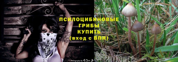 дмт Сосновоборск