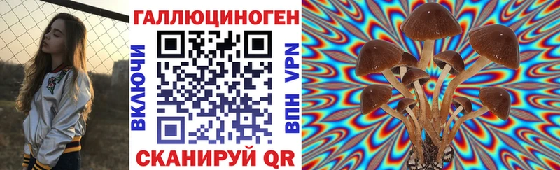 Псилоцибиновые грибы Cubensis  магазин  наркотиков  Гусев 